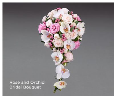 Push-Up BH - English Rose - ORCHIDS